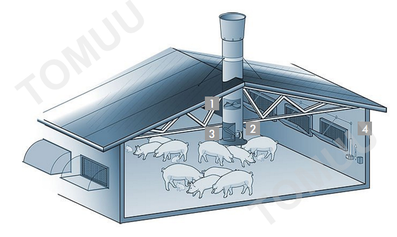 U12养猪场图片-1.jpg